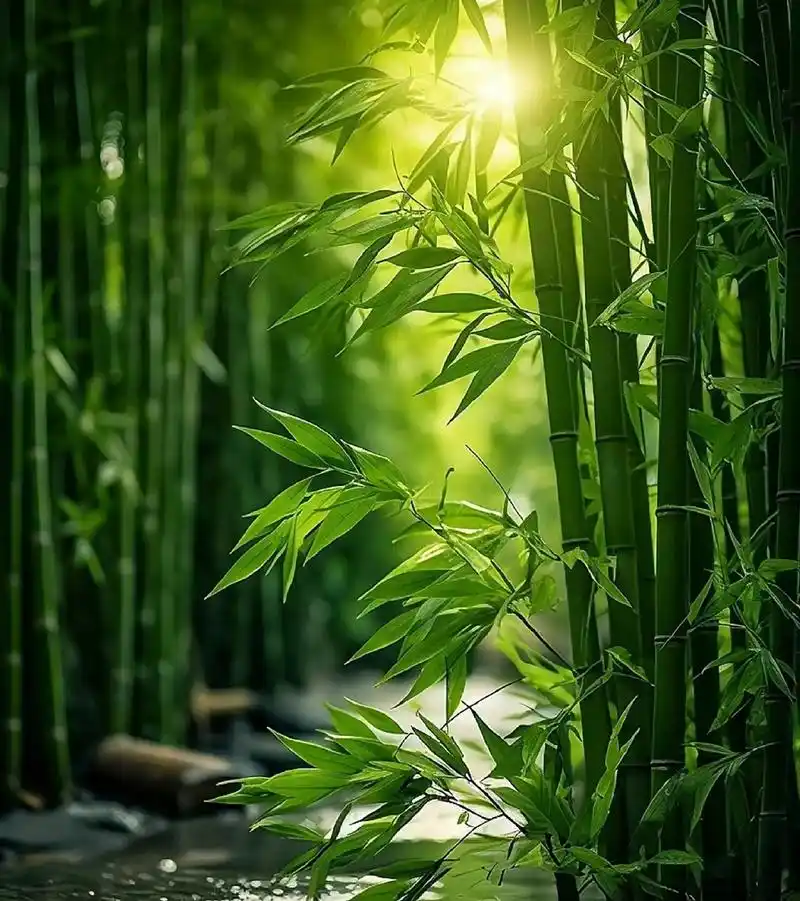 Explorando as origens e desenvolvimento da cultura chinesa de bambu
